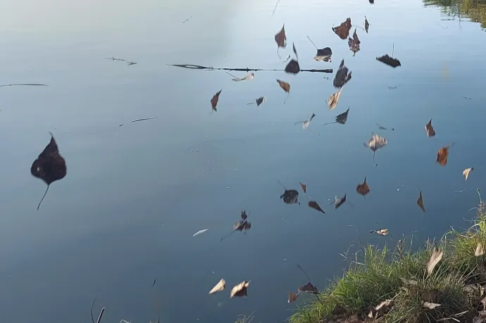 Október első hete még csak nyomokban emlékeztet az őszre