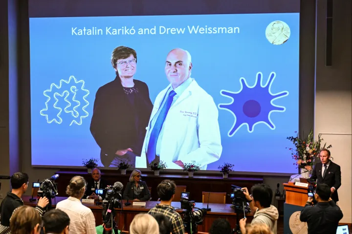 Miért járt a Nobel-díj Karikó Katalinéknak?