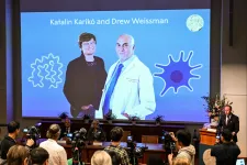 Miért járt a Nobel-díj Karikó Katalinéknak?