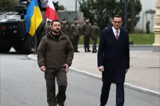 Egyetlen lengyel vállalat sem vett részt az ukrán védelmi ipari szövetség megalakulásán, Kijev és Varsó egymást okolja ezért