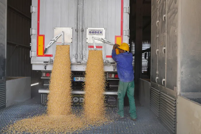 Engedélyhez köti és korlátozza az ukrajnai és moldovai gabona importját Románia