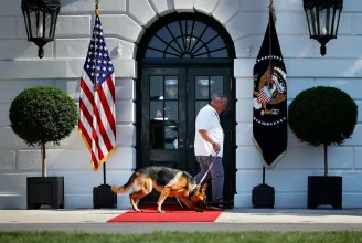 Kiköltöztették a Fehér Házból Joe Biden harapós kutyáját