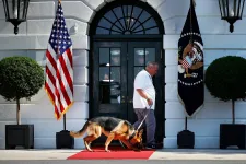 Kiköltöztették a Fehér Házból Joe Biden harapós kutyáját