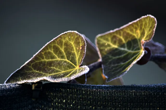 Hidegfront jön vasárnap, hétfő hajnalban fagyhat is
