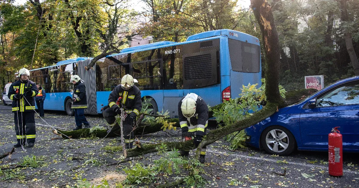 Önvezető autók által okozott balesetek, viharkárok klímaváltozás idején: új feladványok a biztosítóknak