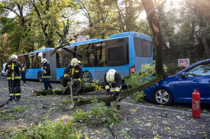 Önvezető autók által okozott balesetek, viharkárok klímaváltozás idején: új feladványok a biztosítóknak