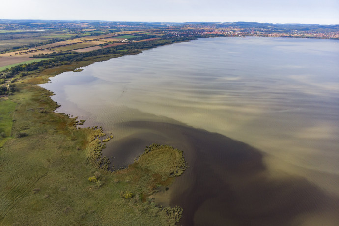 A pacsirták fele eltűnt, a tujáknak befellegzett, de már itt a kaktusz és a tigrisszúnyog