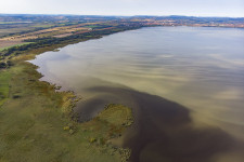 A pacsirták fele eltűnt, a tujáknak befellegzett, de már itt a kaktusz és a tigrisszúnyog