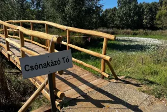 A lombkorona nélküli lombkoronasétány után itt a víz nélküli csónakázótó