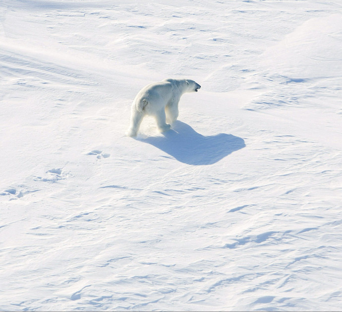 Olvad az Északi-sark, de mikor olvad el?