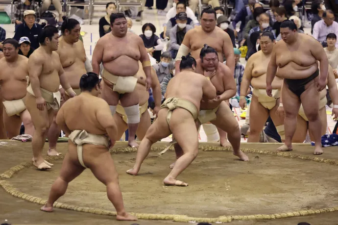 Nem fért bele a repülőgép súlyhatárába a szumós csapat, különjáratot kaptak