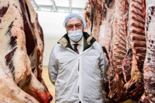 Percenként 140 ezer csirkét vágnak le a Földön, hatvan év alatt tízszeresére nőtt a levágott állatok száma