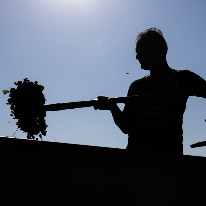 A 350-400 ezres minimálbér közép-európai helyben járásra lehet elég a következő években