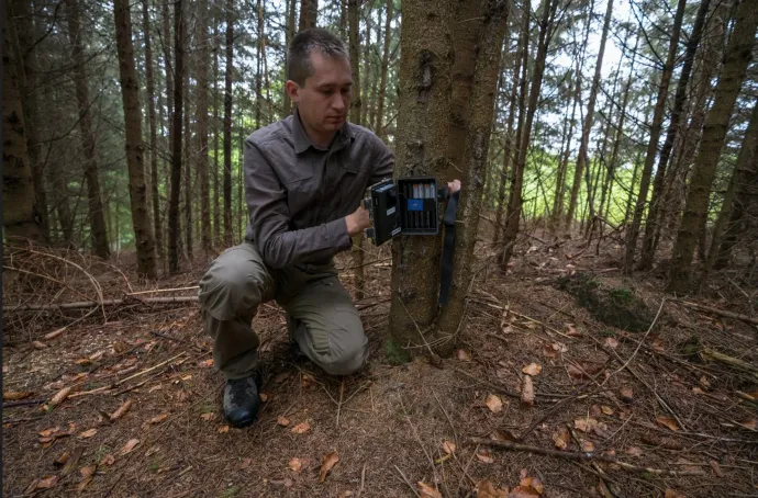 A Carpathia vadőre vadkamerát szerel fel a Fogarasi-havasokban – Fotó: Conservation Carpathia / Facebook