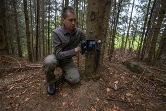 Guardian: Európa legnagyobb erdős nemzeti parkjának létrehozásán dolgoznak Romániában