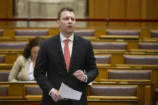 Menczer Szabó Tímeának: A Párbeszédnek egyetlen támogatója sincs, honnan tudhatnák, mi a magyar érdek?
