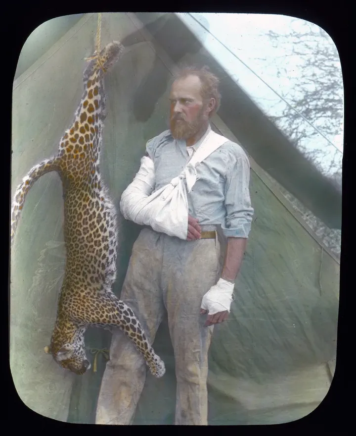 Carl Akeley és az általa legyőzött leopárd (utólag színezett) – Forrás: The Field Museum
