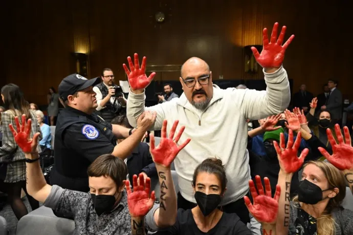 Tüntetők zavarják meg Antony Blinken amerikai külügyminiszter szenátusi meghallgatását – Fotó: Saul Loeb / AFP