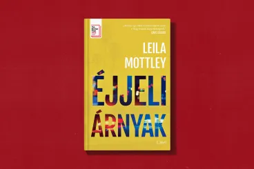 Regény az amerikai tinédzserről, akit szexuálisan kizsákmányolt a rendőrség