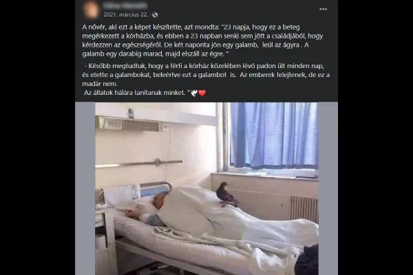 1. Mit teszel, ha szembejön a Facebookon egy ilyen bejegyzés?