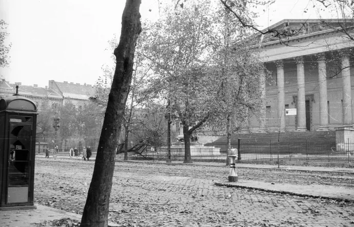 A platán 1956-ban és szovjet páncélosok a Múzeumkertben – Forrás: Fortepan, Nagy Gyula / Fortepan