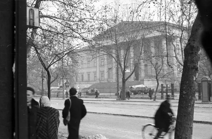 A platán 1956-ban és szovjet páncélosok a Múzeumkertben – Forrás: Fortepan, Nagy Gyula / Fortepan