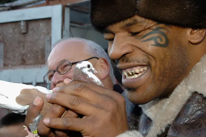 Mike Tyson megjelent egy lengyel faluban, hogy vegyen száz galambot