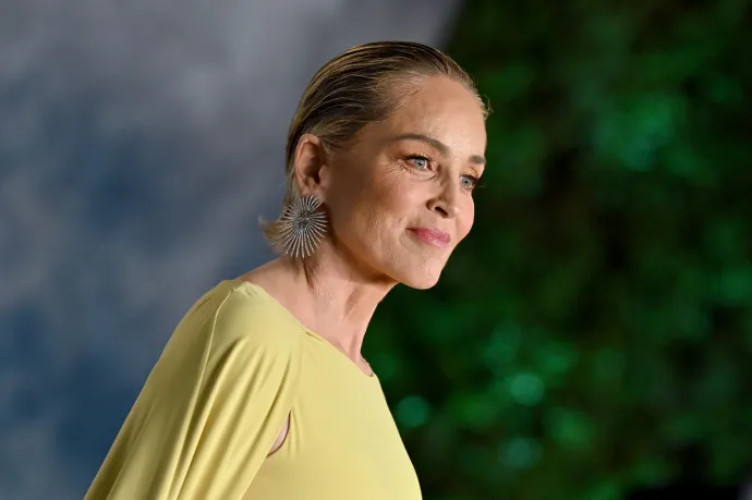 Sharon Stone azt állítja, hogy a Sony egyik volt vezetője szexuálisan zaklatta őt a '80-as években