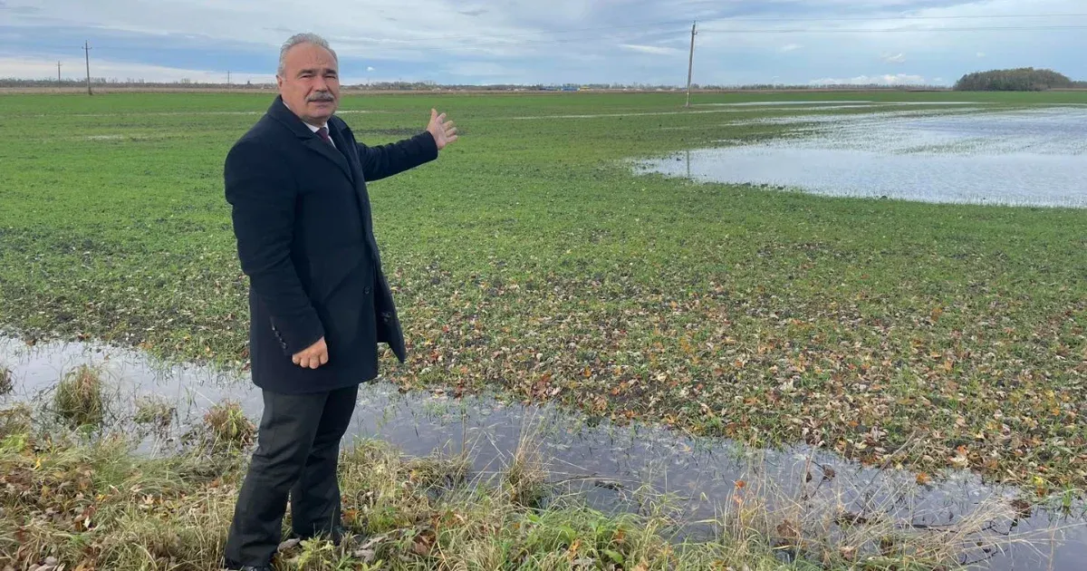 Az agrárminiszer megorrolt Magyar Péterre: A tököt én termesztem, te meg csak faragod és vakarod.