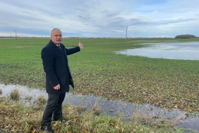 Az agrárminiszer megorrolt Magyar Péterre: A tököt én termesztem, te meg csak faragod és vakarod