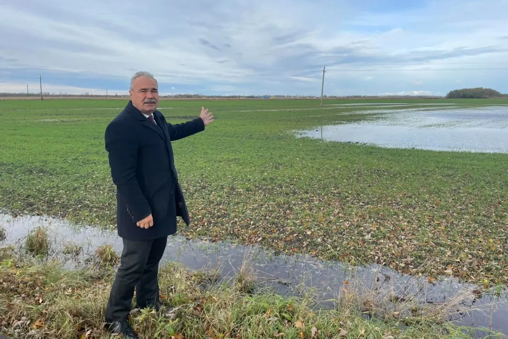 Az agrárminiszer megorrolt Magyar Péterre: A tököt én termesztem, te meg csak faragod és vakarod.