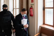 Börtönből házi őrizetbe kerül Schadl György