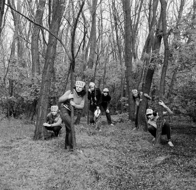 Indián gyógynövényként ismert amerikai gyarmatáruként került hozzánk a „magyar akác”