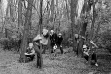 Indián gyógynövényként ismert amerikai gyarmatáruként került hozzánk a „magyar akác”