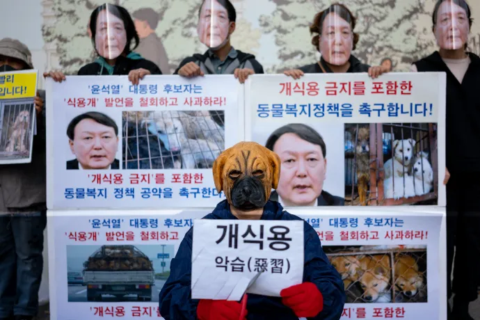 A kutyahúsevés betiltását követelő tüntetők Szöulban 2021-ben – Fotó: Chris Jung / NurPhoto via AFP