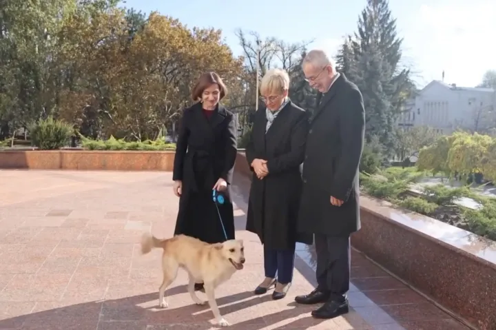 A moldovai elnök háromlábú kutyája megharapta az osztrák elnököt