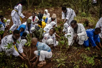 Kenyában munkaszüneti napot rendeltek el, hogy az egész ország fát ültessen
