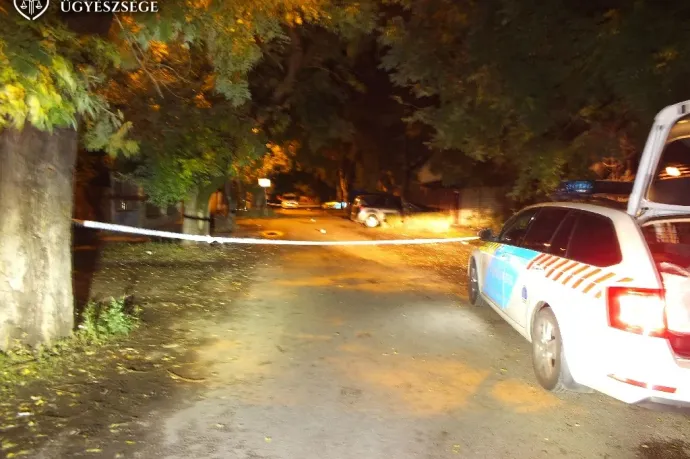 Kutyát sétáltatott Csepelen, összevitatkozott egy ötfős társasággal, megszúrták, aztán megölték a kutyáját