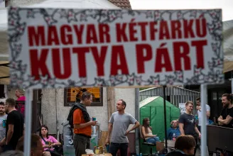 Három városban és nyolc budapesti kerületben már biztosan indít jelöltet az MKKP