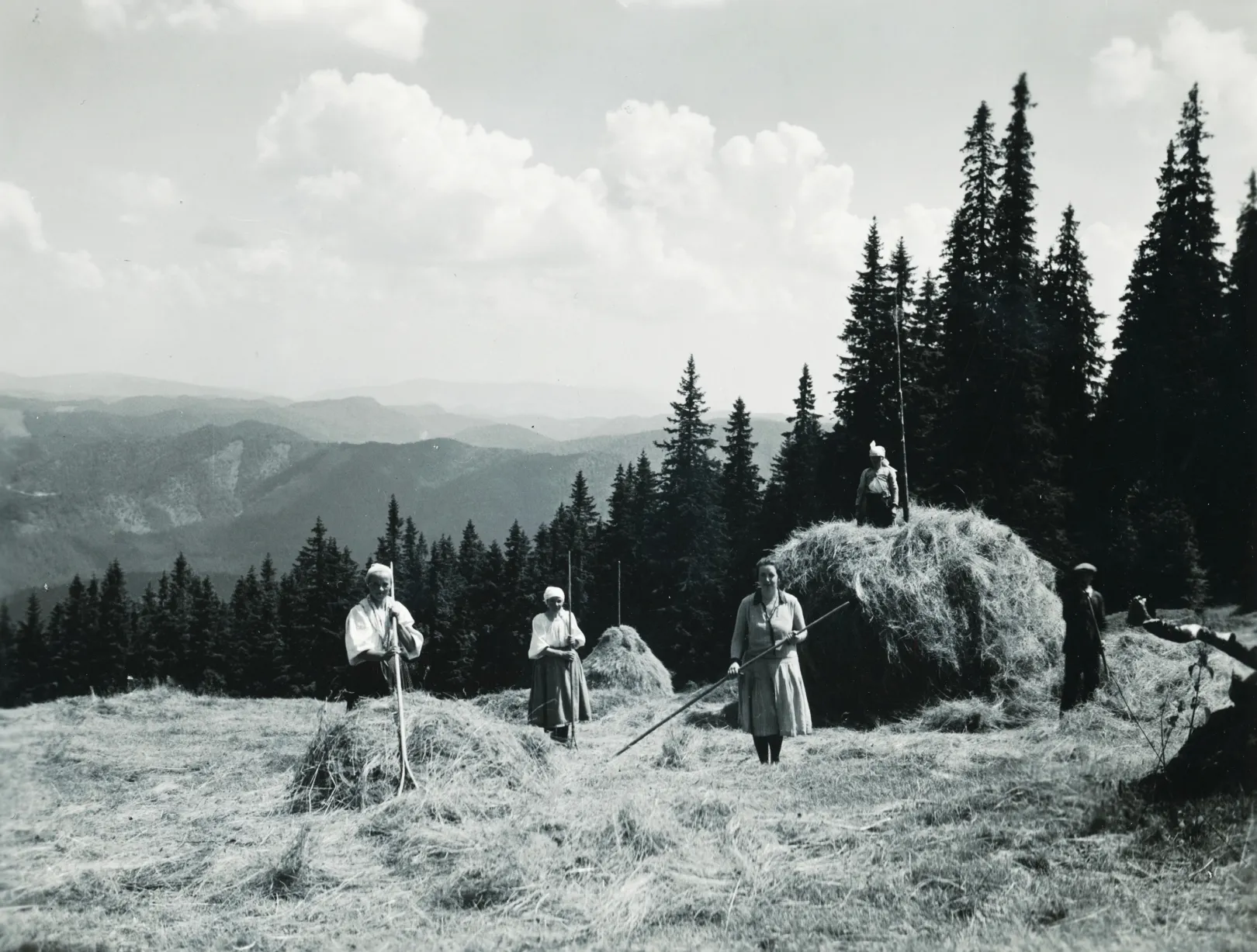 Szénagyűjtés a Király-hegyen, az Alacsony-Tátrában 1933-ban. #95855 Fotó: Fortepan / Schermann Ákos / Sztehlo János