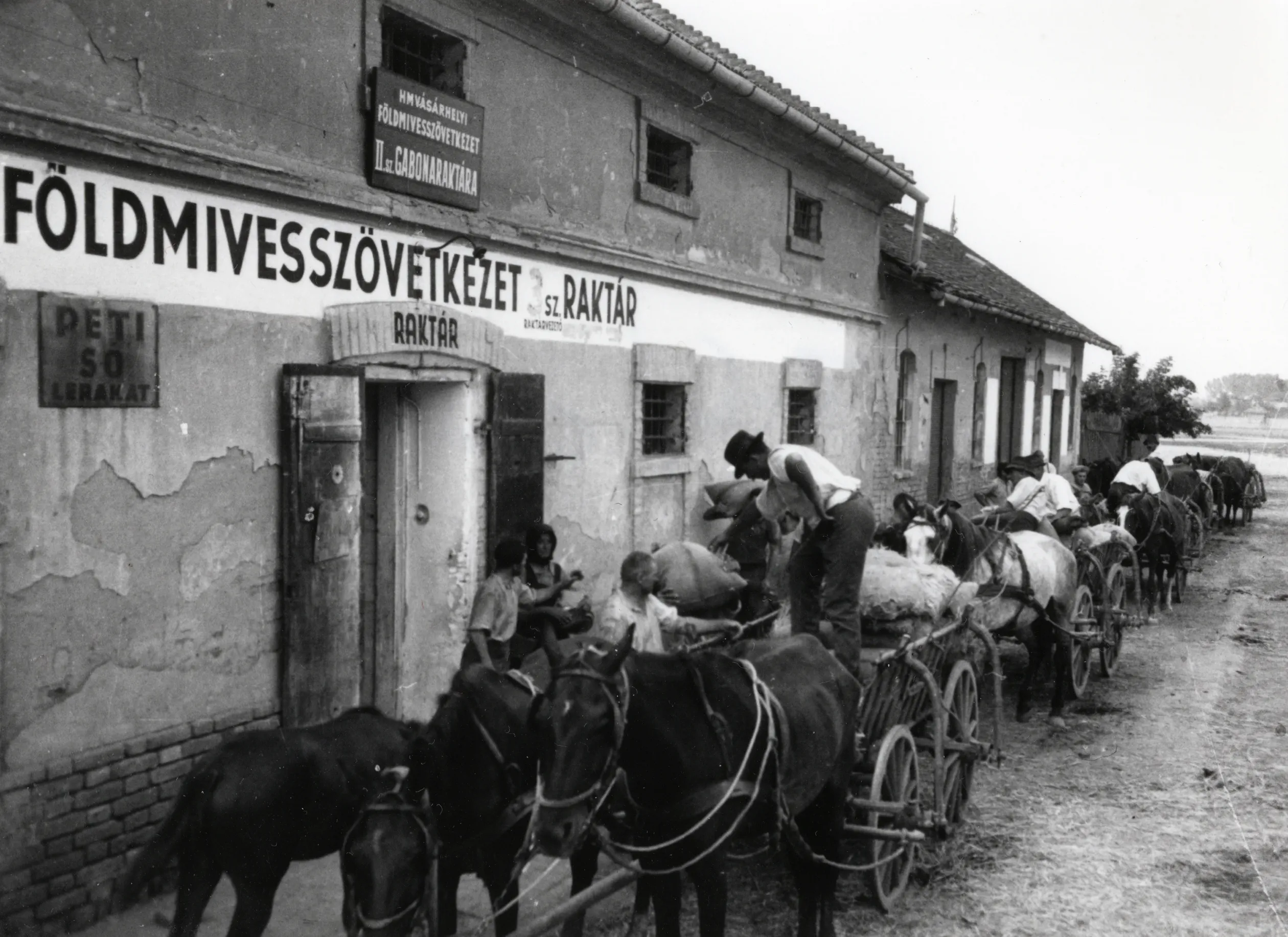 Beszolgáltatás a hódmezővásárhelyi földművesszövetkezet gabonaraktárában 1950 körül. #128511 – Fotó: Fortepan / Bauer Sándor