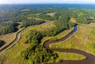 Amióta nem Bolsonaro van hatalmon, jelentősen visszaesett az erdőirtás az Amazonas-vidéken