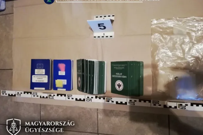 Állatorvosok és kutyakereskedők hálózatát kapcsolták le