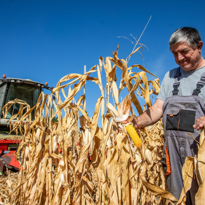 Olyan magasra került a léc idén, hogy jövőre már nehezen jut a húzóágazatok közé a magyar agrárium