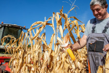 Olyan magasra került a léc idén, hogy jövőre már nehezen jut a húzóágazatok közé a magyar agrárium