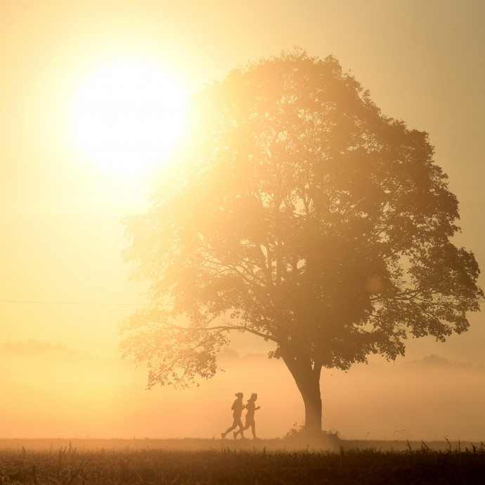 Most épp hihetetlennek tűnik, de 2023 már biztosan az eddigi legmelegebb év lesz