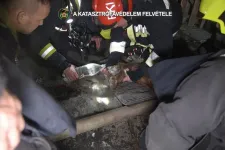 Hat embert, egy kutyát és két tengerimalacot mentettek ki a tűzoltók egy soroksári lakástűzből