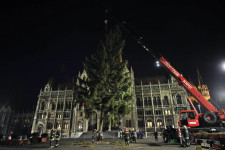 Pusztulnak a fenyők, de nincsenek veszélyben a magyar karácsonyfák