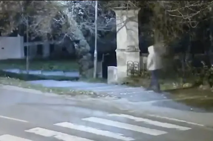 Félmilliót fizet a rendőrség annak, aki be tud azonosítani egy Pápán gyalogost megtámadó férfit