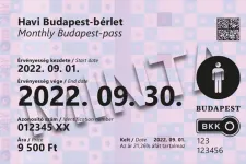 Vitézy elképzelhetetlennek tartja a Budapest-bérlet megszüntetését